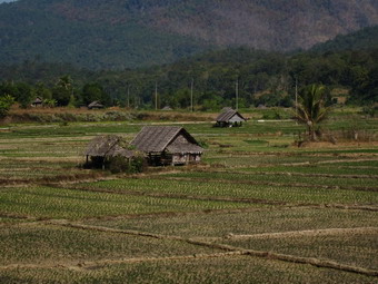 ทัวร์อุบล ผาแต้ม สามพันโบก